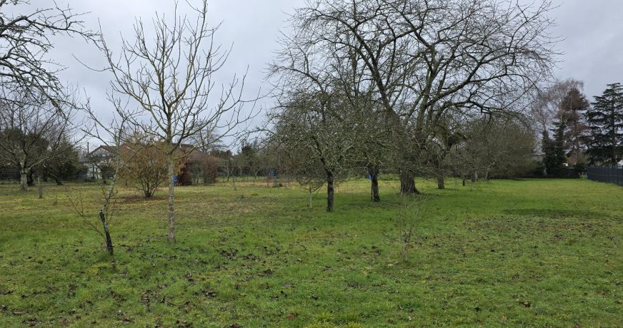vente Terrain Ardentes
