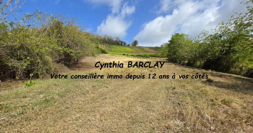 vente Terrain Le Vauclin