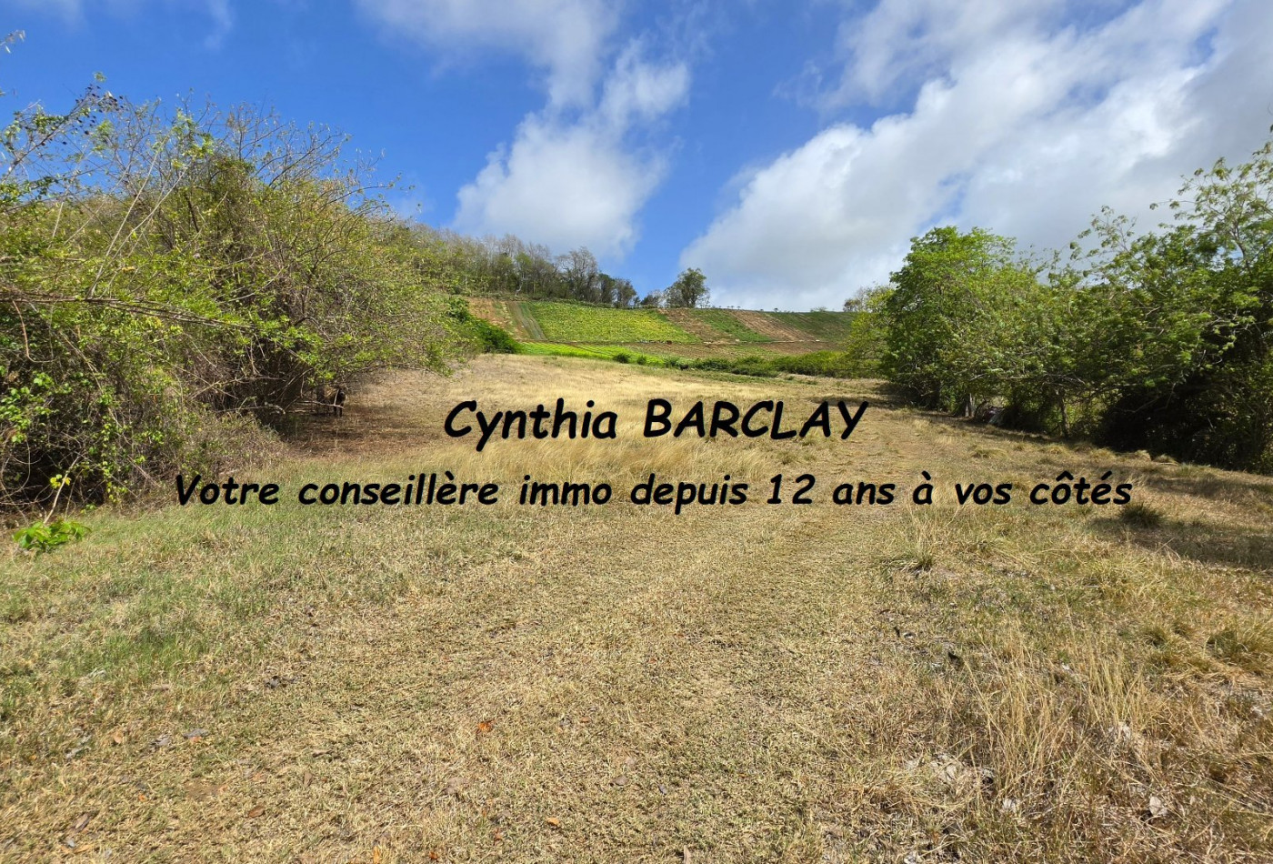 vente Terrain Le Vauclin - Photo 1