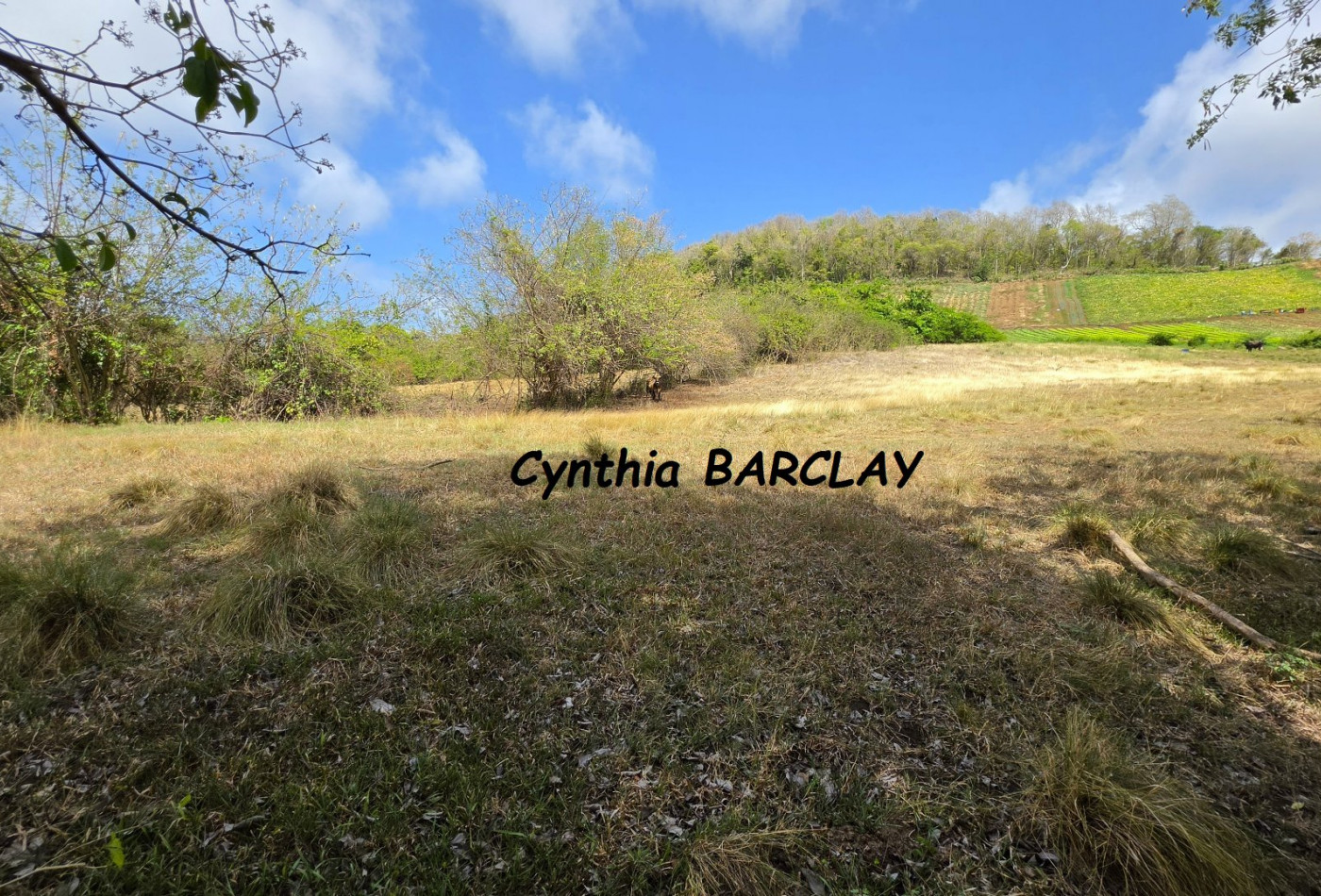 vente Terrain Le Vauclin - Photo 2