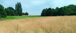 vente Terrain Merignac