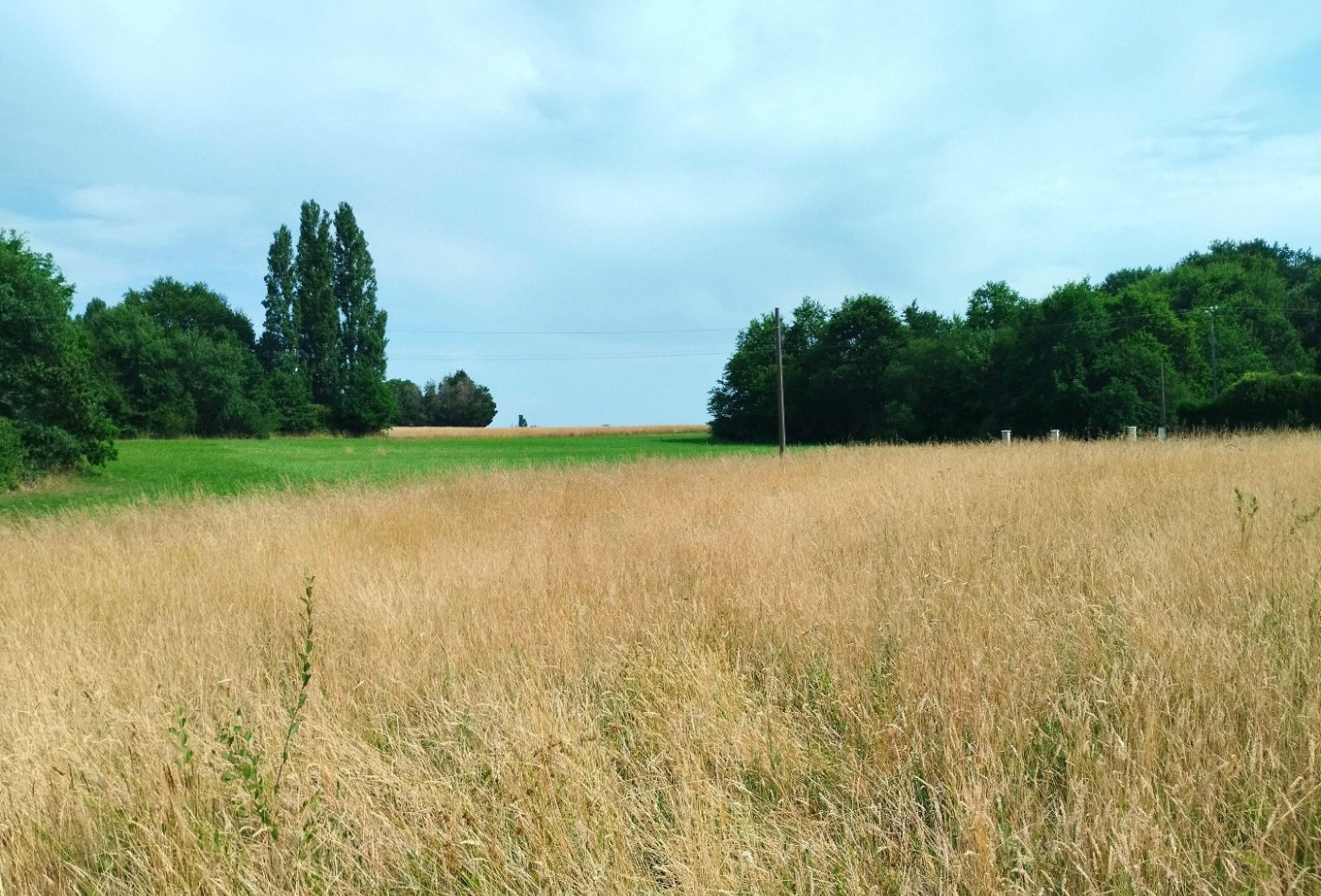 vente Terrain Merignac - Photo 2