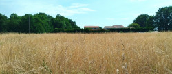 vente Terrain Merignac