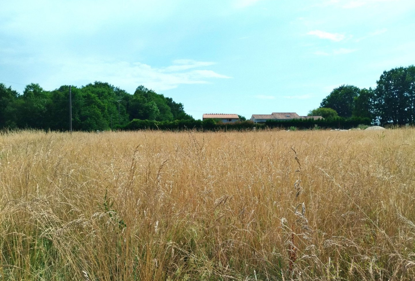 vente Terrain Merignac - Photo 1