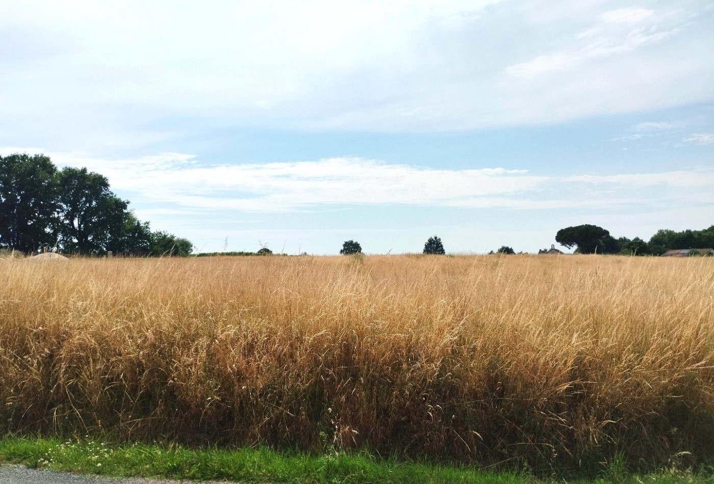 vente Terrain Merignac - Photo 2
