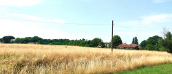 vente Terrain Merignac