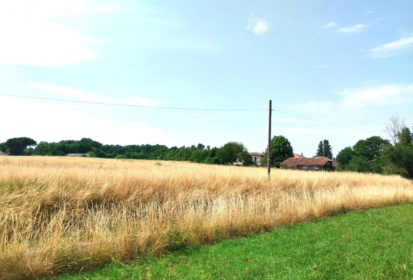 vente Terrain Merignac - Photo 3
