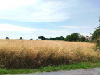 vente Terrain Merignac