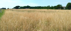 vente Terrain Merignac