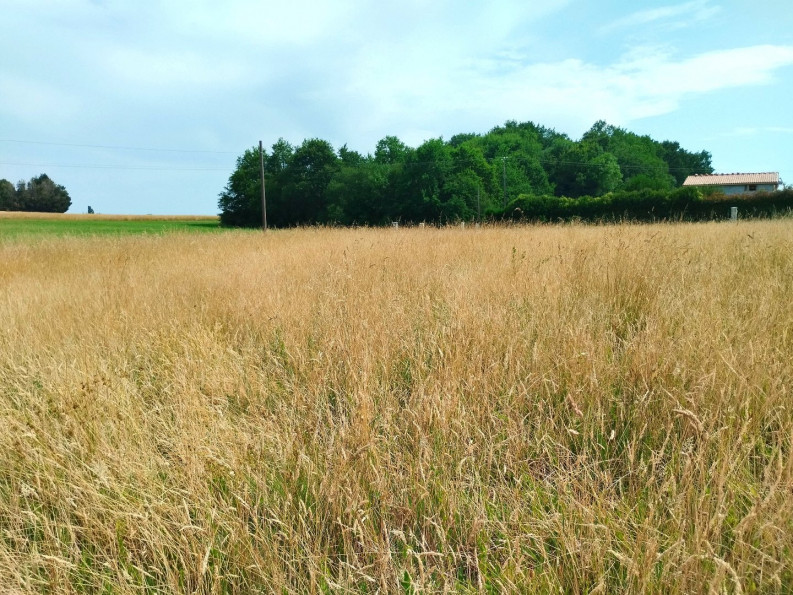 vente Terrain Merignac - Photo 4