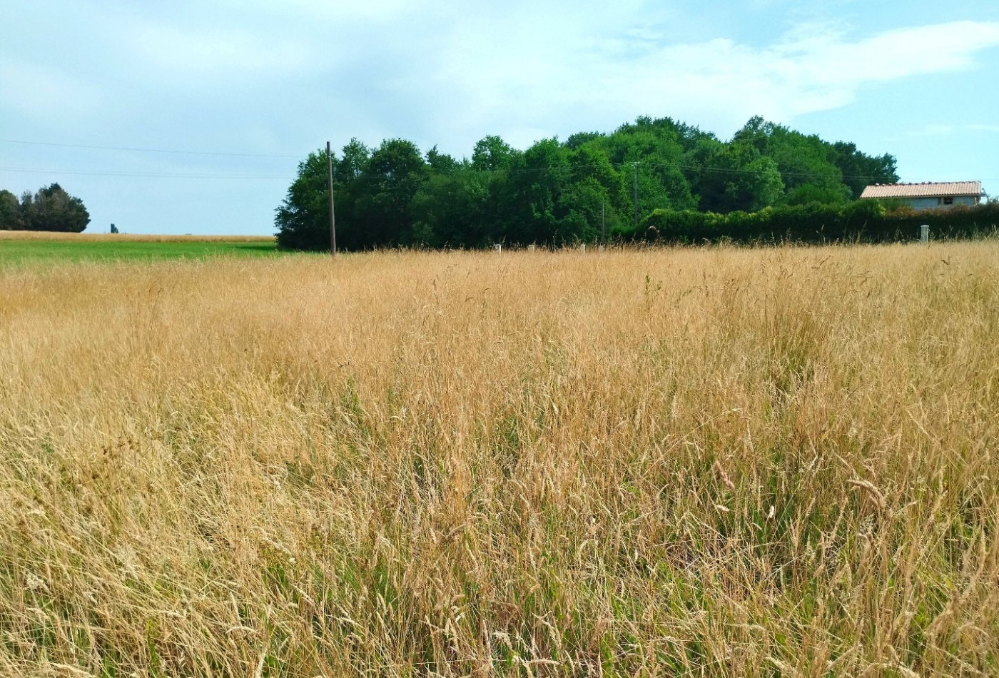 vente Terrain Merignac - Photo 1