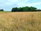 vente Terrain Merignac
