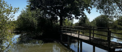 vente Maison Clere Sur Layon