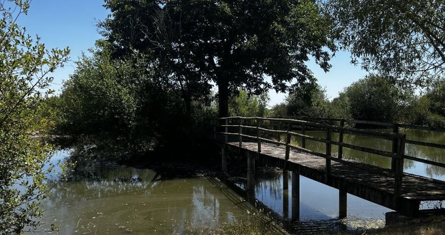 vente Maison Clere Sur Layon