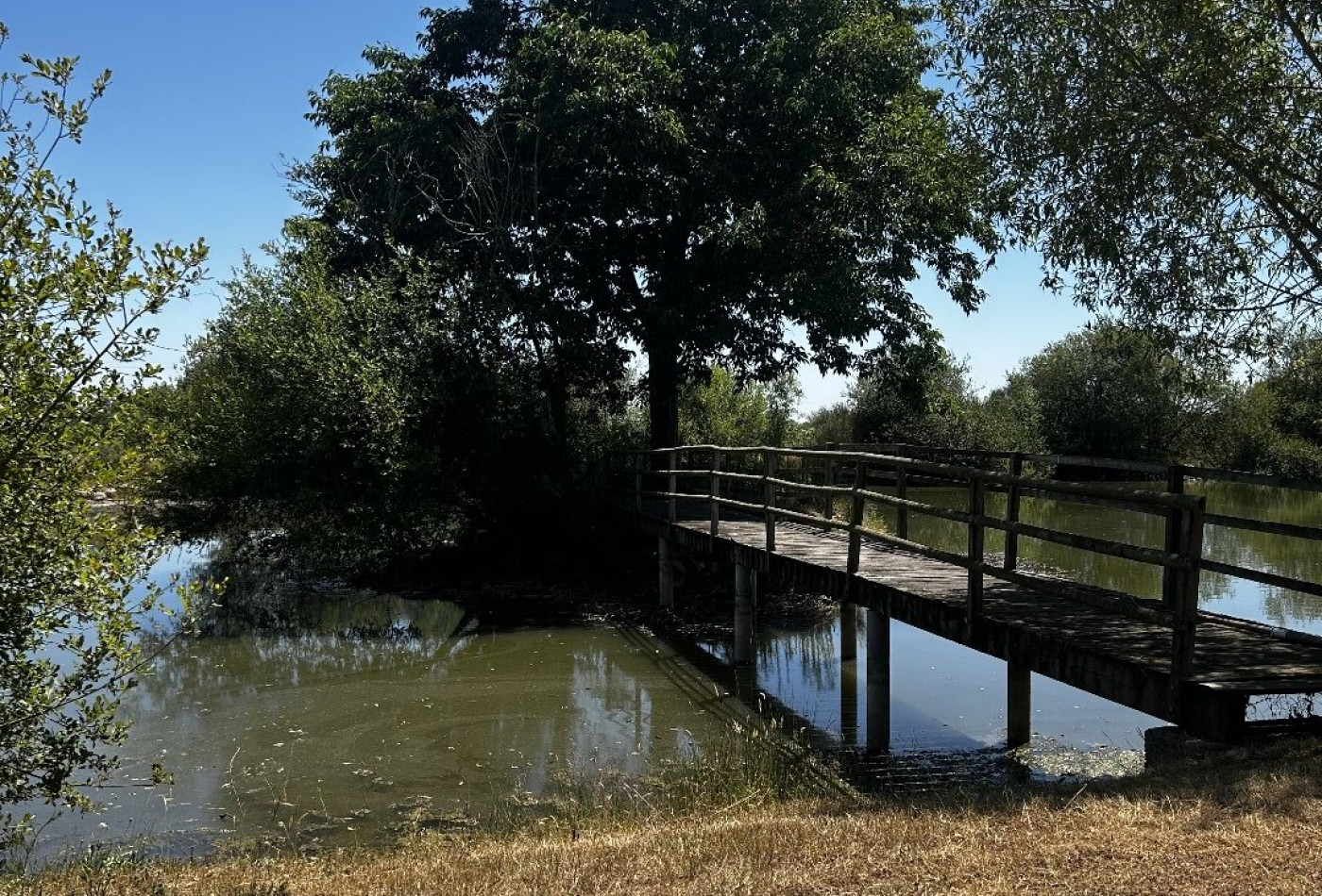 vente Maison Clere Sur Layon - Photo 4
