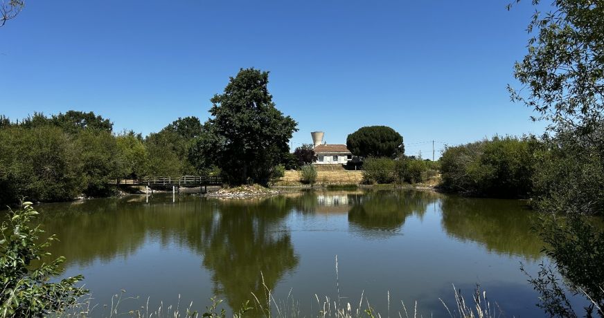 vente Maison Clere Sur Layon