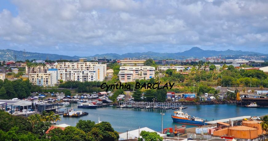 vente Appartement Fort De France
