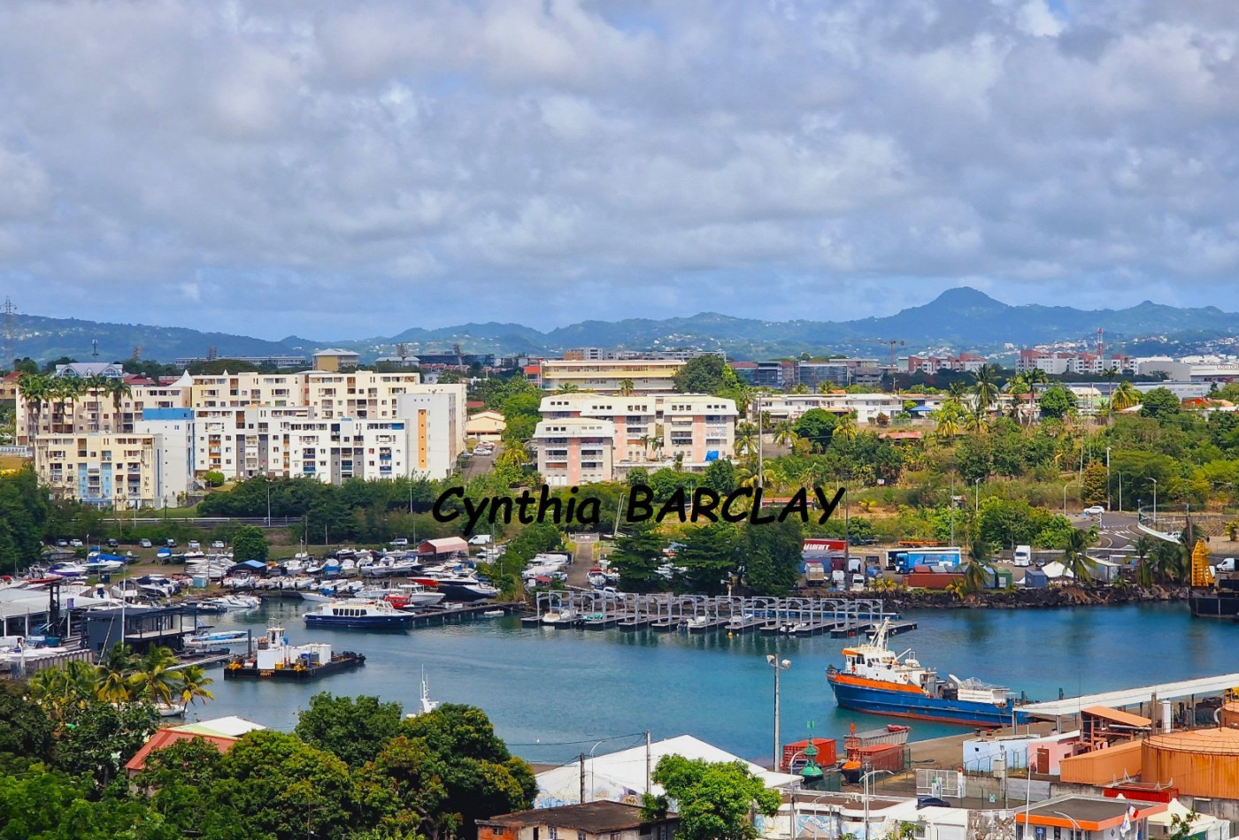 vente Appartement Fort De France - Photo 3