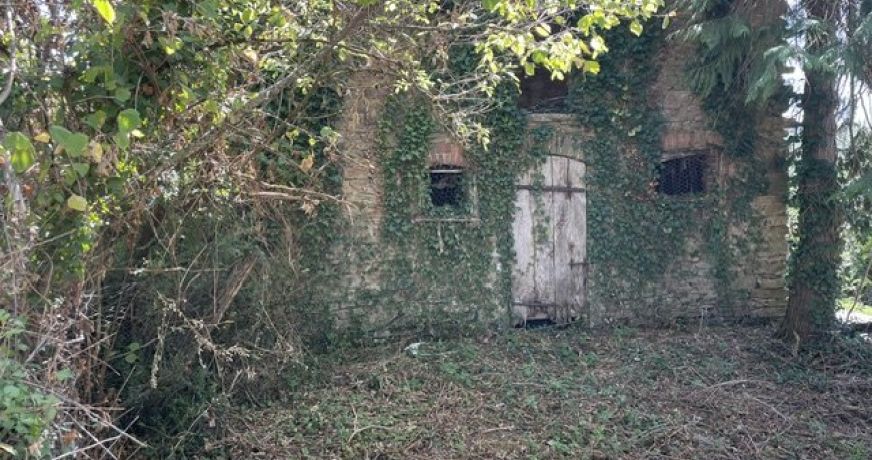 vente Maison de hameau Naillat