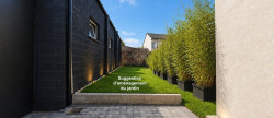 vente Maison de ville Caudry
