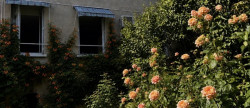 vente Immeuble Clermont Ferrand