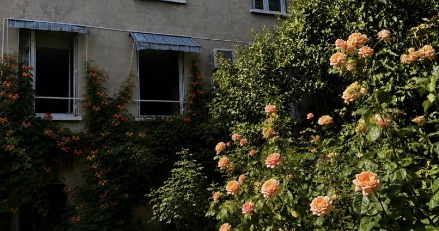 vente Immeuble Clermont Ferrand