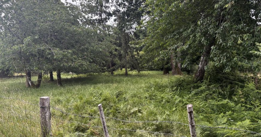 vente Maison Issoudun Letrieix