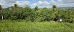 vente Terrain Ducos