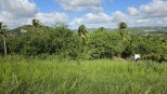 vente Terrain Ducos