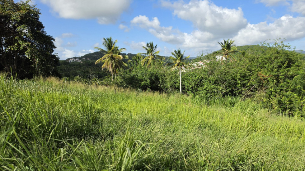 vente Terrain Ducos - Photo 4