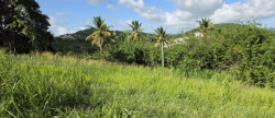vente Terrain Ducos