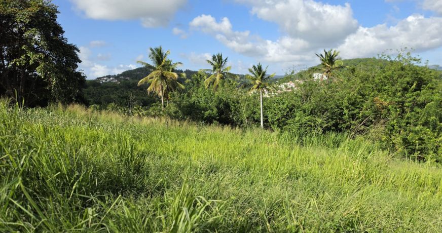 vente Terrain Ducos