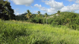 vente Terrain Ducos