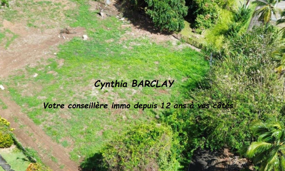 vente Terrain Ducos - Photo 1