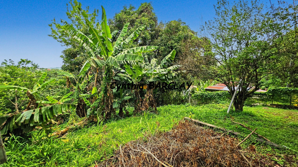 vente Maison de campagne Sainte Luce - Photo 8