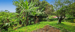 vente Maison de campagne Sainte Luce
