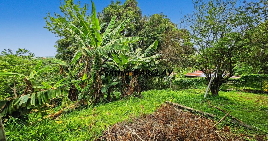 vente Maison de campagne Sainte Luce