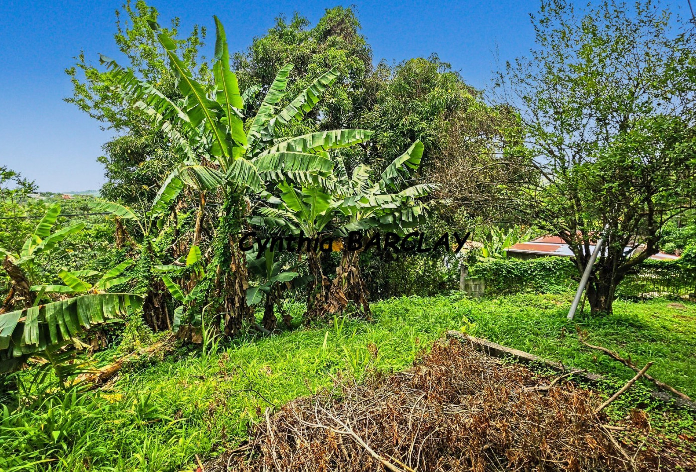 vente Maison de campagne Sainte Luce - Photo 8