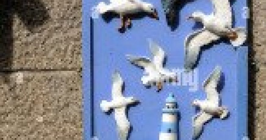 vente Bazar jouets cadeaux Saint Malo