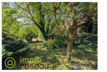 vente Maison Thicourt