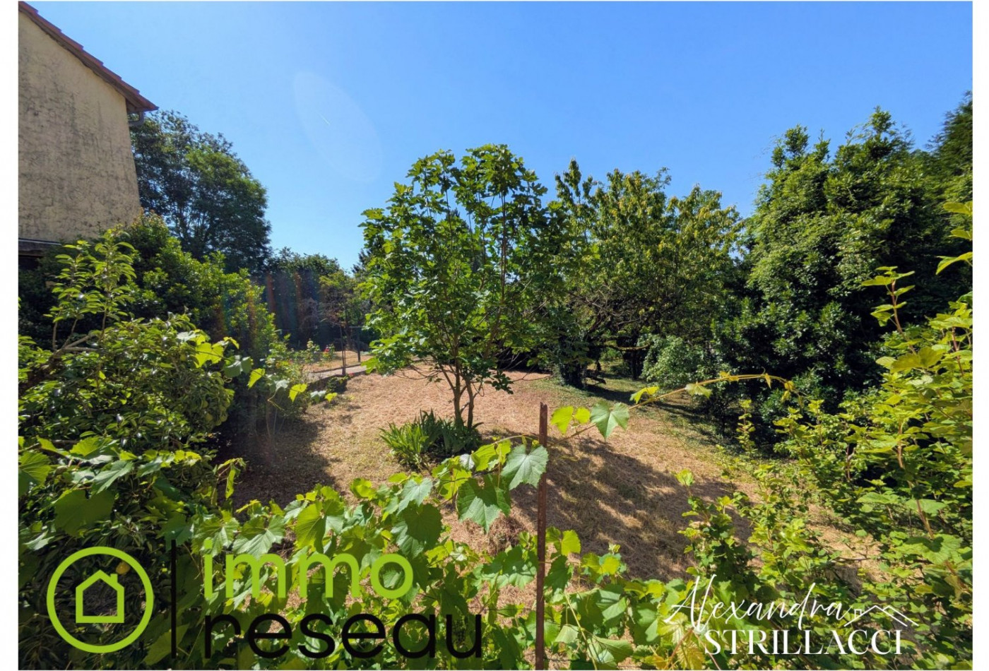vente Maison Thicourt - Photo 7