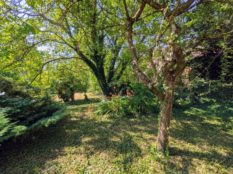 vente Maison Thicourt - Photo 4