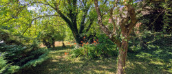 vente Maison Thicourt