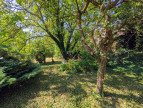 vente Maison Thicourt