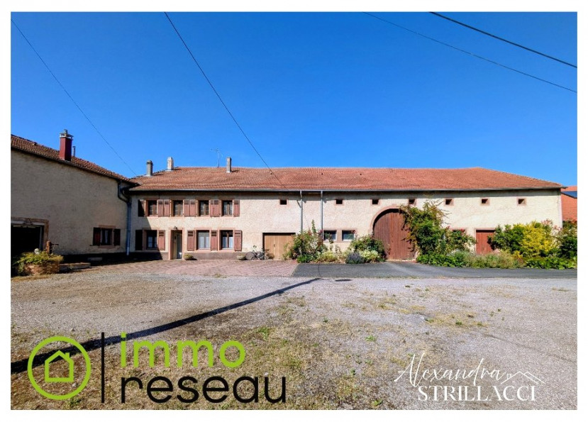 vente Maison Thicourt - Photo 1