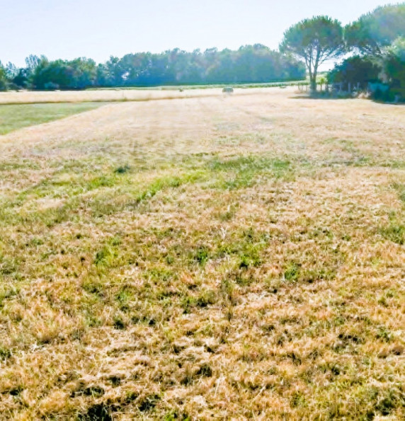 vente Terrain Eyrans - Photo 1