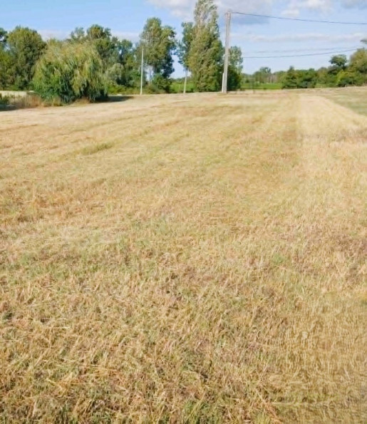 vente Terrain Eyrans - Photo 3