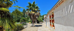 vente Pavillon Sallertaine