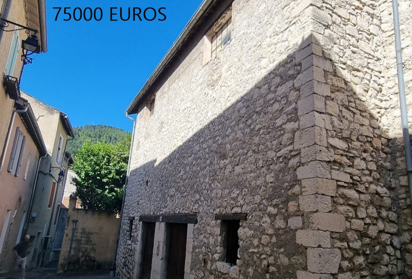 vente Remise Sisteron - Photo 1