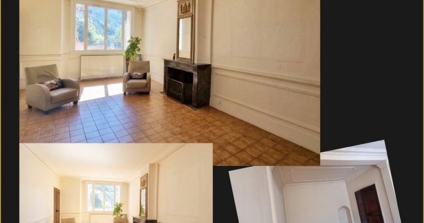 vente Maison bourgeoise Sisteron